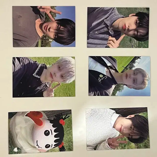 투바투 모아존 뿔버스 6장 일괄판매