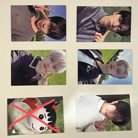 투바투 모아존 뿔버스 일괄 양도