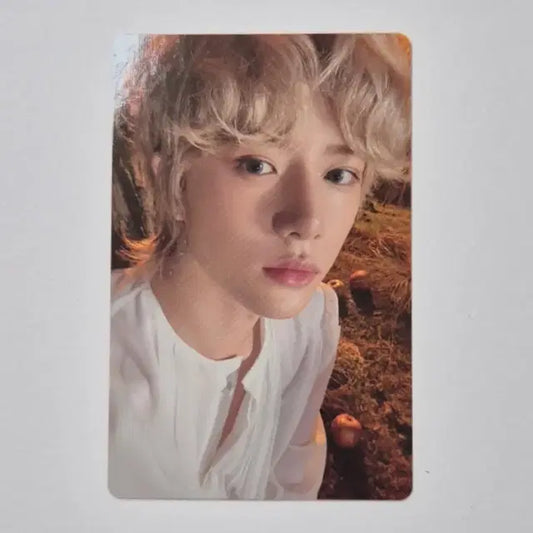 투바투 범규 투모로우 라이트ver. 포카