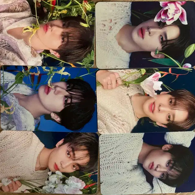 크래비티 미공포