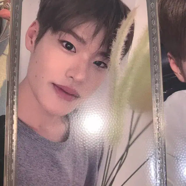 라이즈 오디세이 디마뮤 럭드 소희 포카 양도