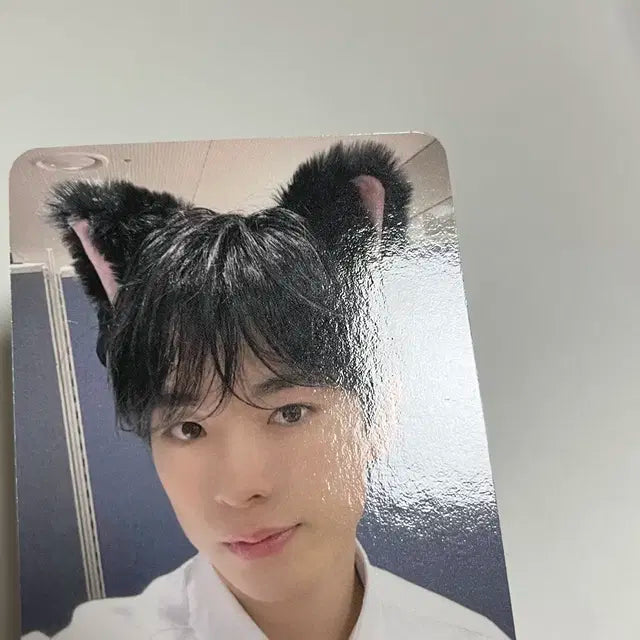 엔시티위시 유우시 스테디 포카 애플뮤직 qq뮤직 일괄 판매
