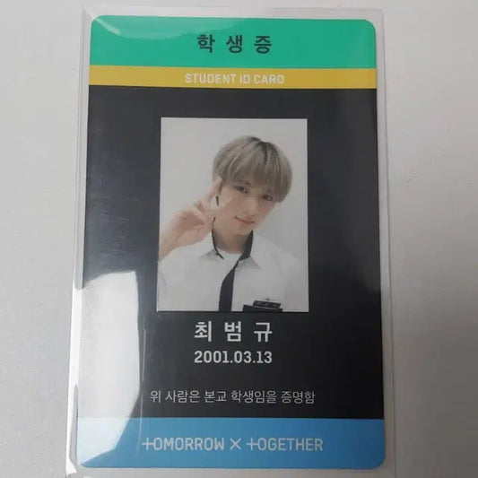 투바투 학생증 범규 밤 버전 매직