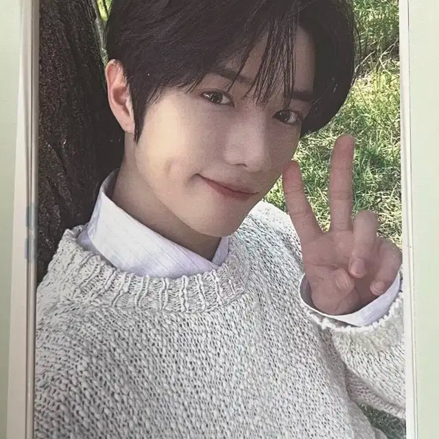 모아존 범규 최저가(폭덤)