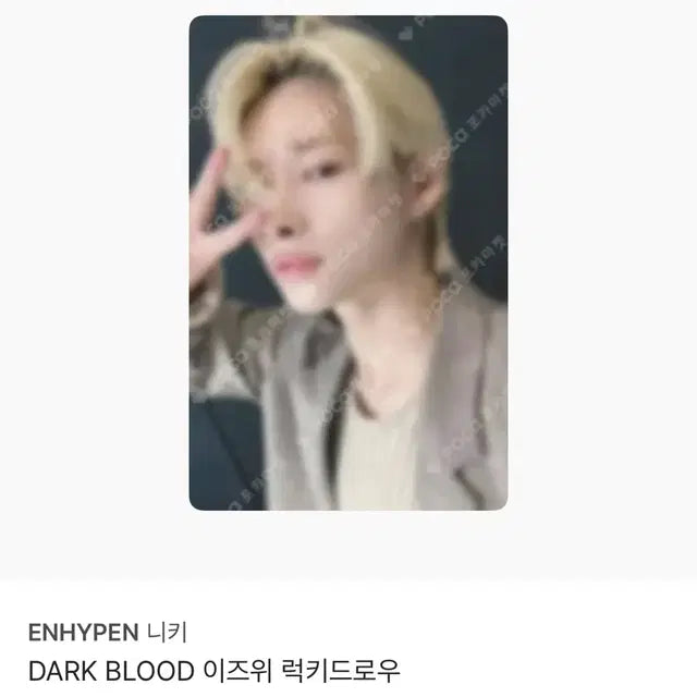 엔하이픈 다크블러드 이즈위 니키포카