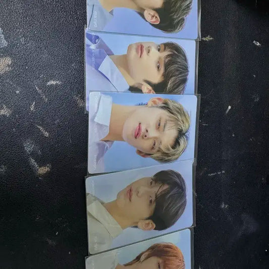 투바투 마녀공장 포카