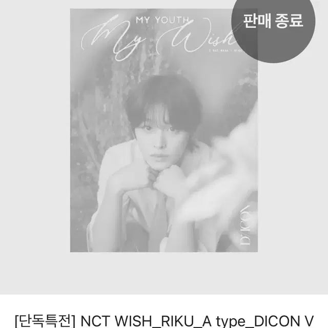 엔시티 위시 리쿠 디아이콘 a버전 단순 개봉