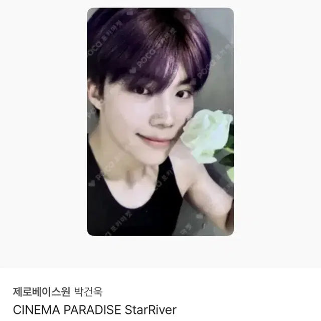 제베원 박건욱 건욱 장미 포카 양도