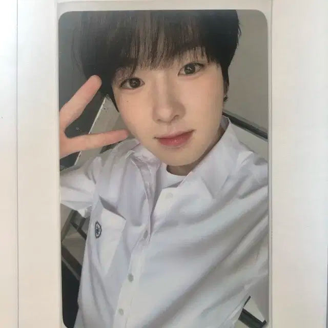 사쿠야 스쿨오브위시 포카 엔시티위시