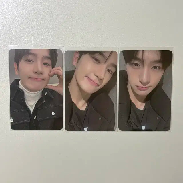 더보이즈 현재 프롬 포카 양도합니다
