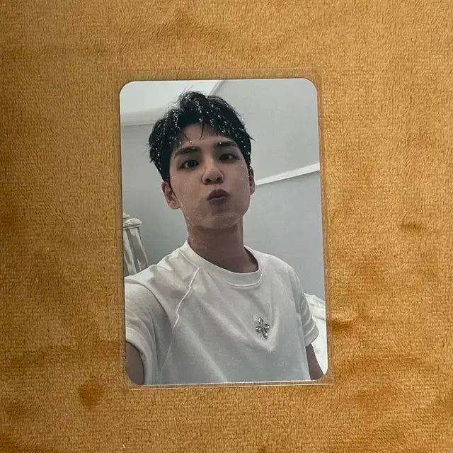 데이식스 원필 포카 밴드에이드 미공포