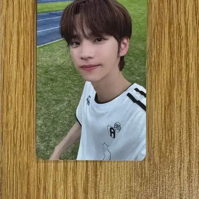 투어스 신유 공방포카