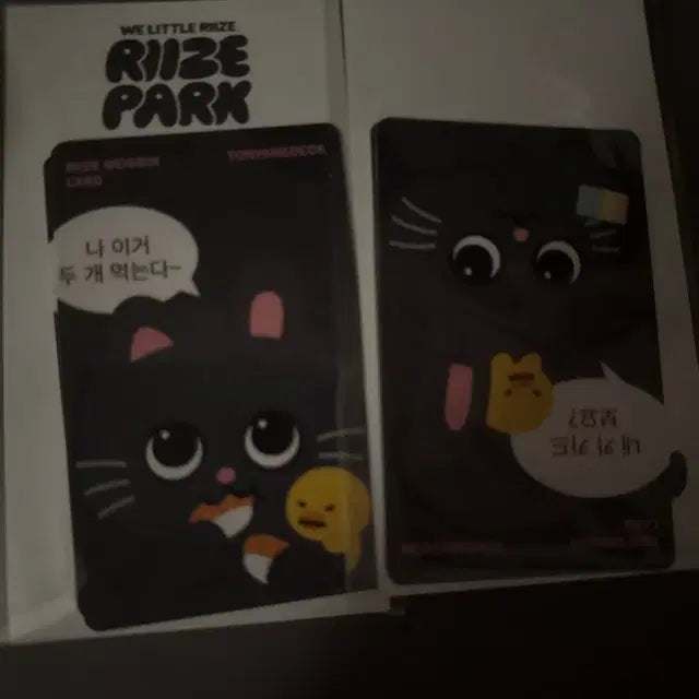 라이즈 riize 토냥덕 원빈 카드 스티커