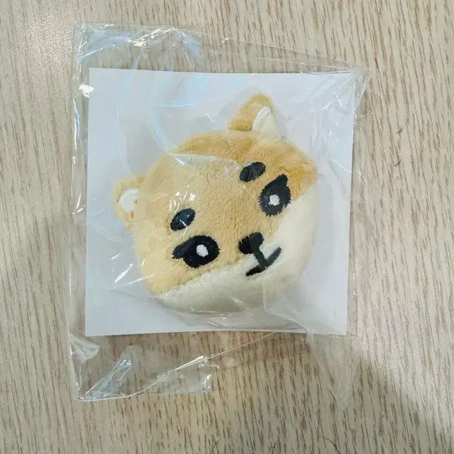 데이식스 일본 굿즈 케 뱃지