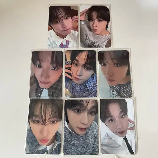 엔시티 위시 리쿠 포카 8장 일괄 / 송버드 스테디 팝팝 미공포