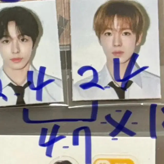 엔시티 위시 스쿨오브위시 유우시 증사