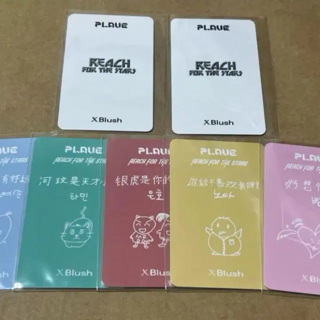 플레이브 Xblush 중국 잡지 매거진 포토카드