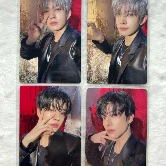 엔하이픈 YOU 스탠다드 포카 양도 희승 제이크