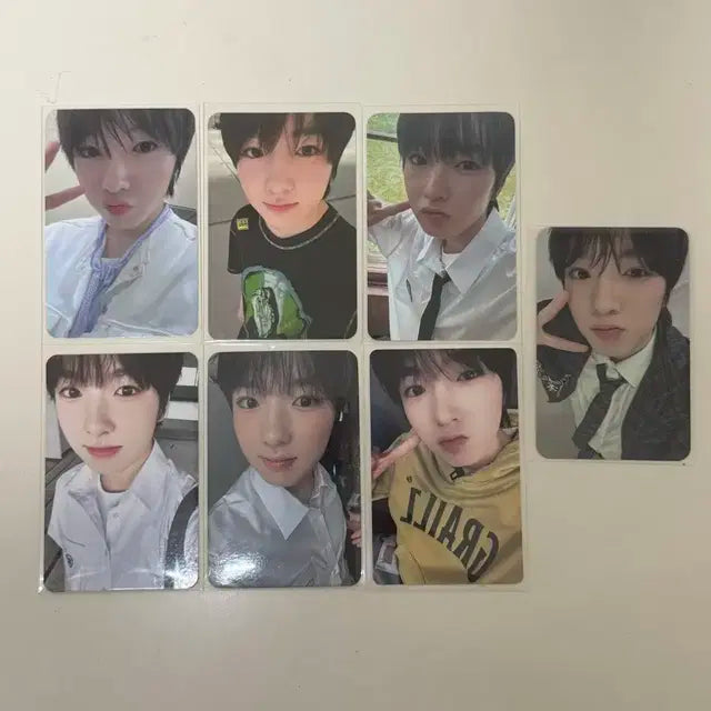 사쿠야 포카 일괄 엔시티위시