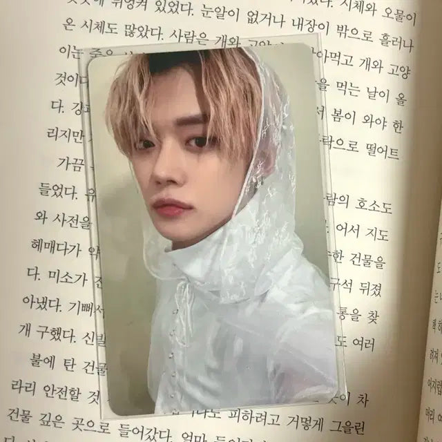 샤바투 연준 양도/급처
