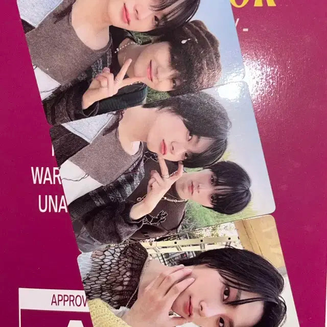 보넥도 why 유닛포카 성호 태산 운학 포카 양도