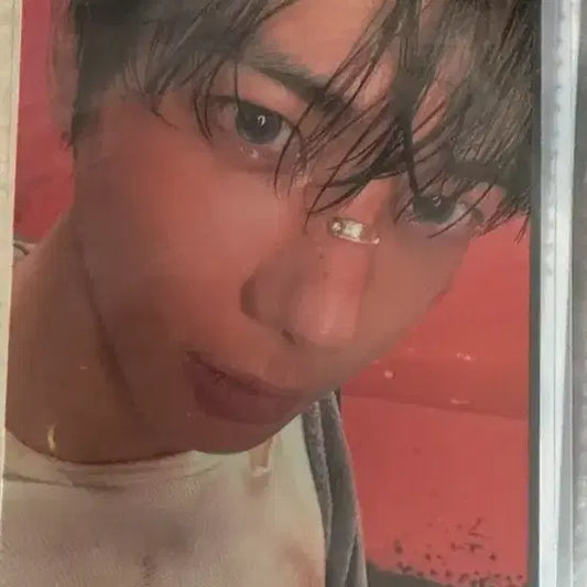 투바투 태현포카 판매