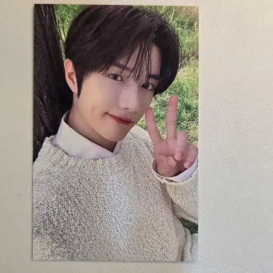 투바투 범규 모아존 포카 양도 배송비 포함