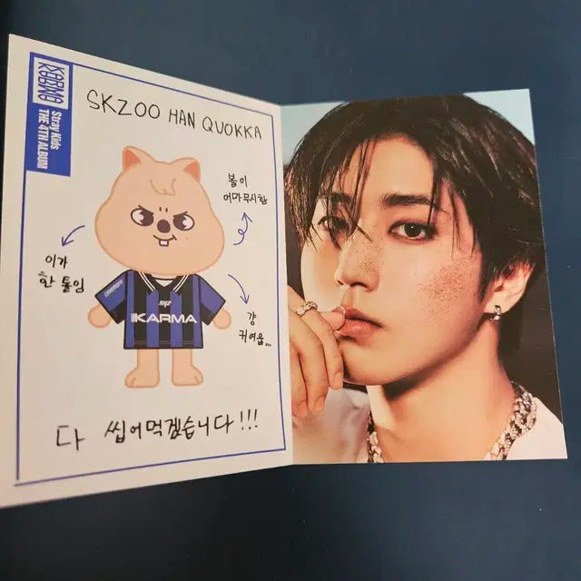 스트레이키즈 스키즈 한 지성 카르마 스키주 프로필 한쿼카 카드