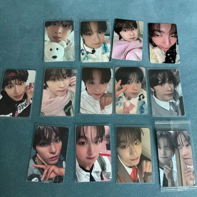 엔시티 위시 리쿠 포카 양도