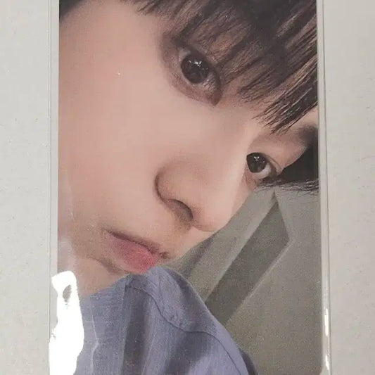 유니버셜 수빈 포카 양도 투바투 재팬