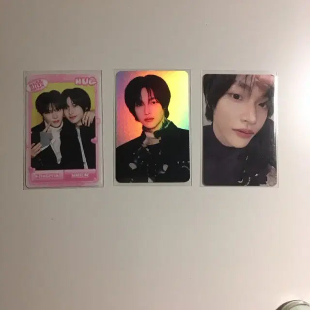 라이즈 허그 md 투톤즈 원빈 포카