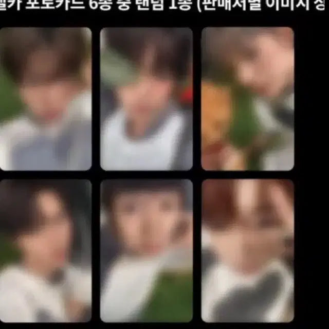 엔시티 위시 컬러 쥬얼 케타포 분철