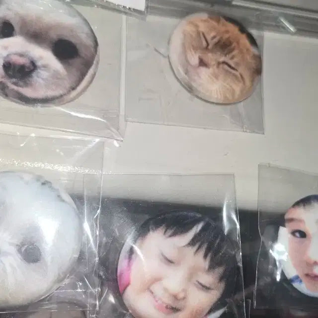 보이넥스트도어 보넥도 말랑핀버튼