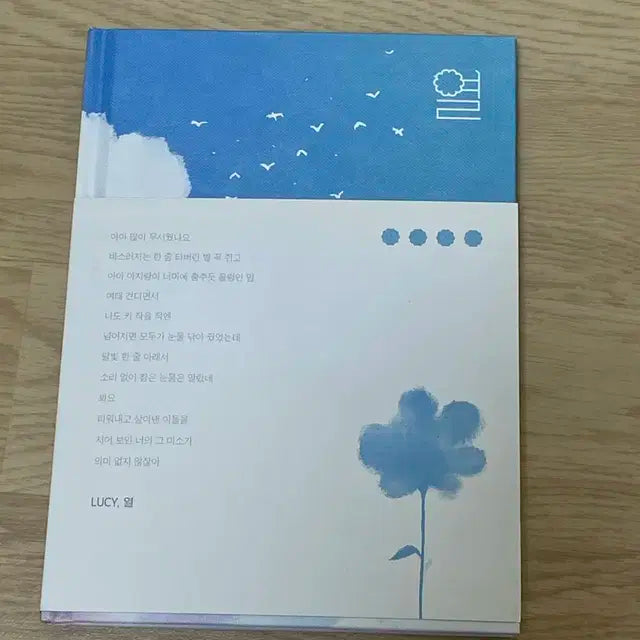 루시 열 앨범