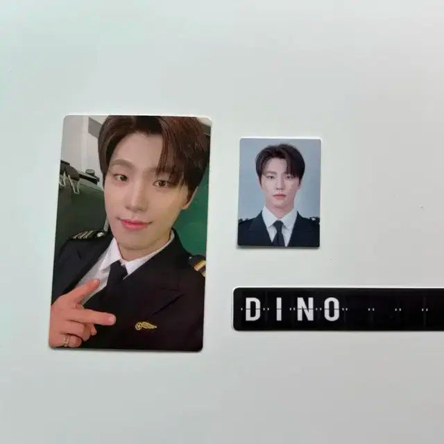 항공틴 디노 포카