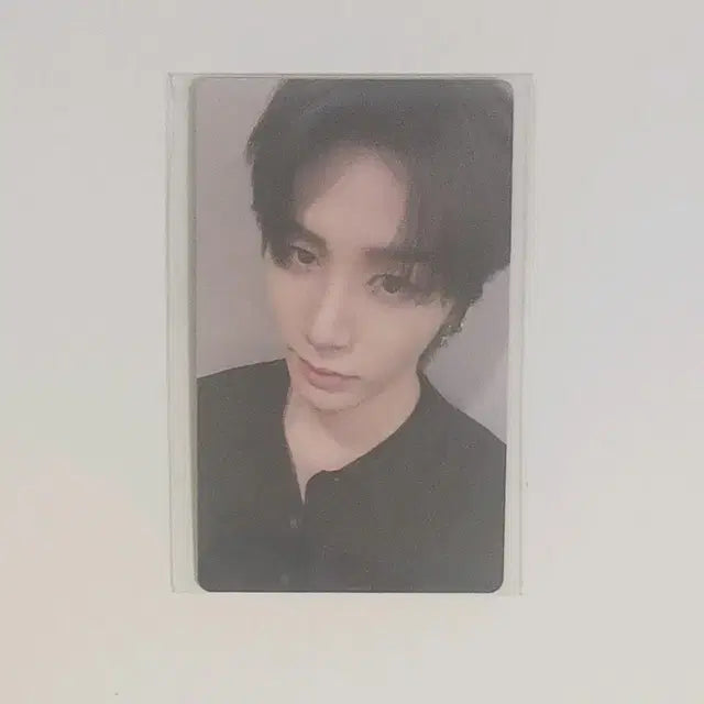 보넥도 태산 노장르 롤라팔루자 태산