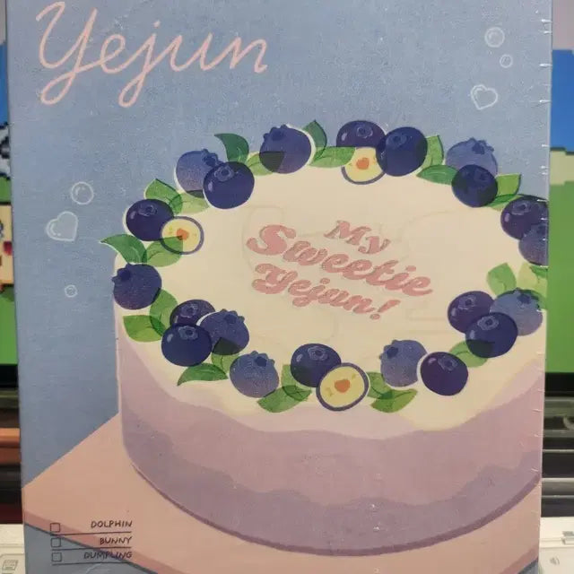 플레이브 2024 예준 생일키트