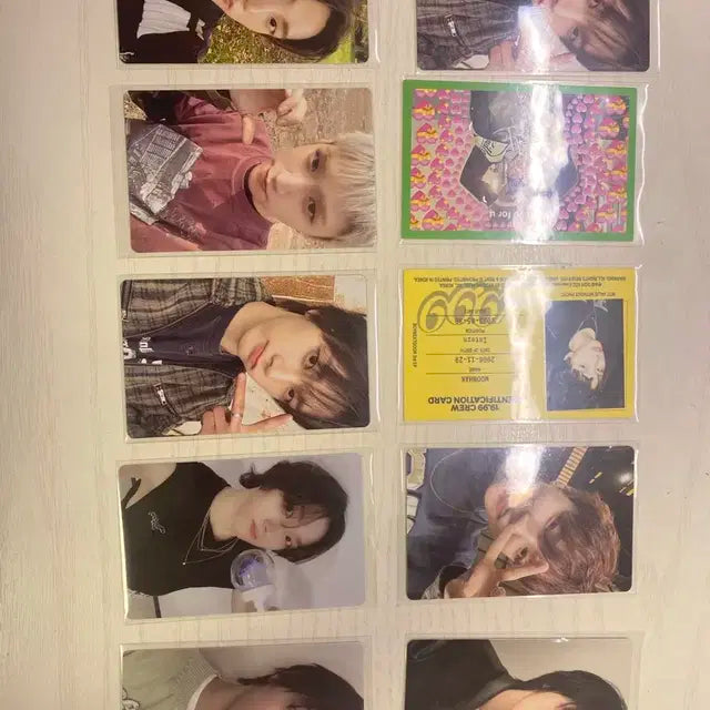 보넥도 포카 판매