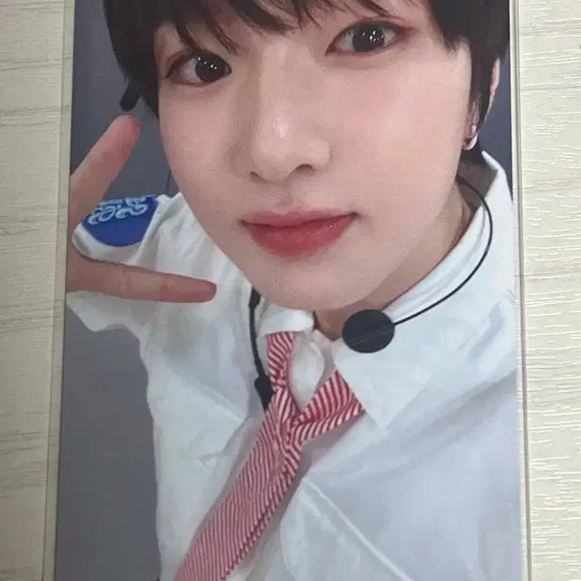엔시티위시 사쿠야 송버드카타운트다운 라이브 이벤트 티몬 포카 양도