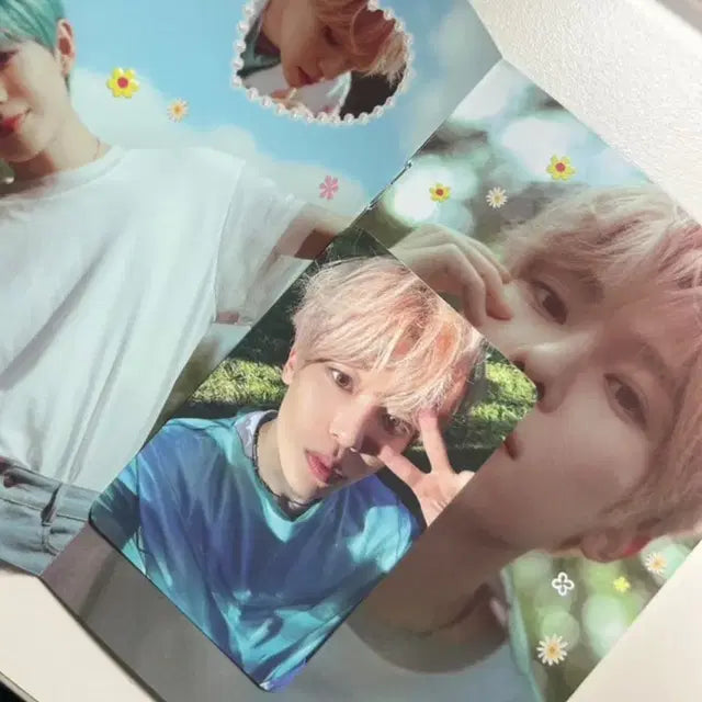 반택포) 시온 송버드 레터버전 양도