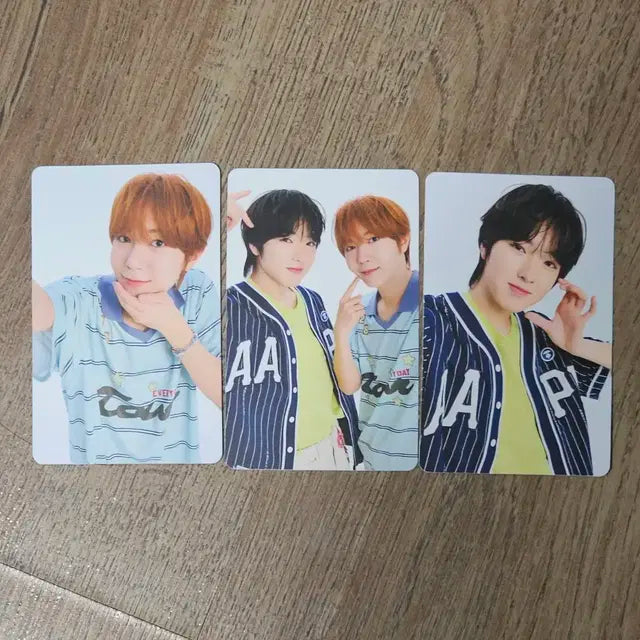 료 사쿠 포토카드 엔시티위시 nct wish 샄료 일폰 팬미팅 엠디