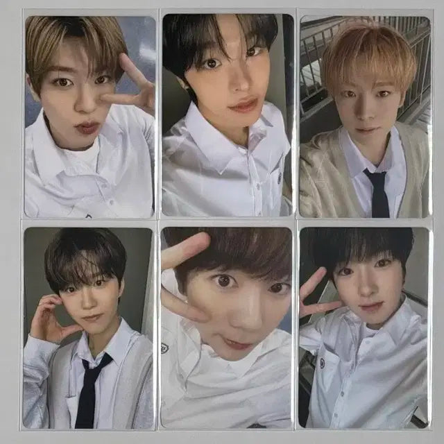 엔시티위시 스쿨오브위시 포카 일괄 양도