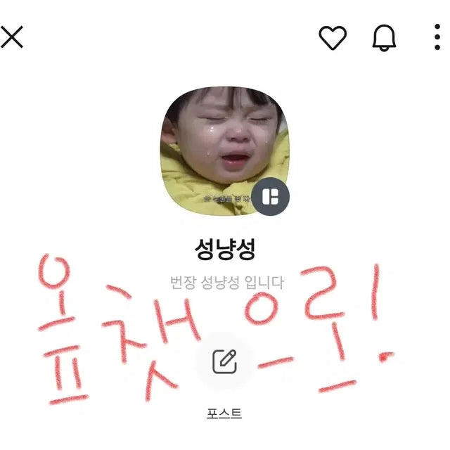 보넥도 성호 포카 급처분해요!