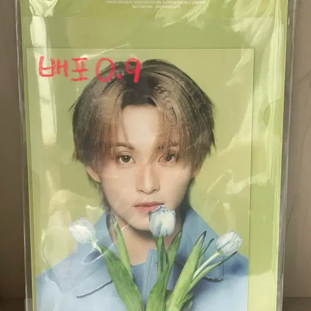 엔시티 드림 팝업