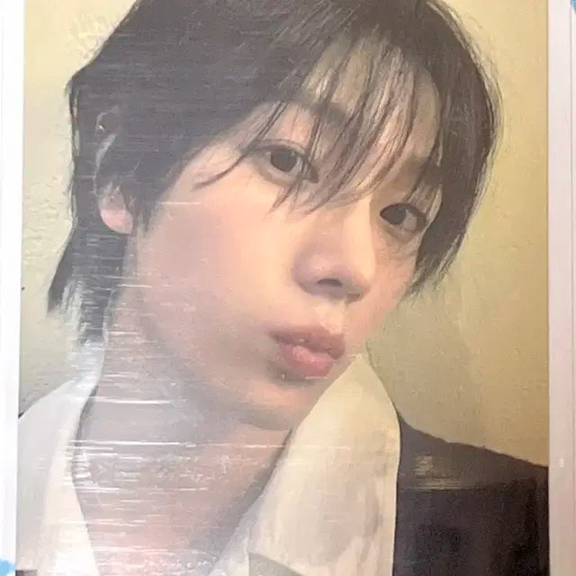보넥도 성호 who 포카