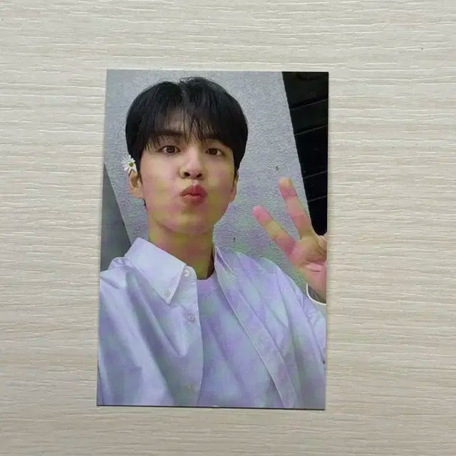 원필 코스모폴리탄 샤인 포카