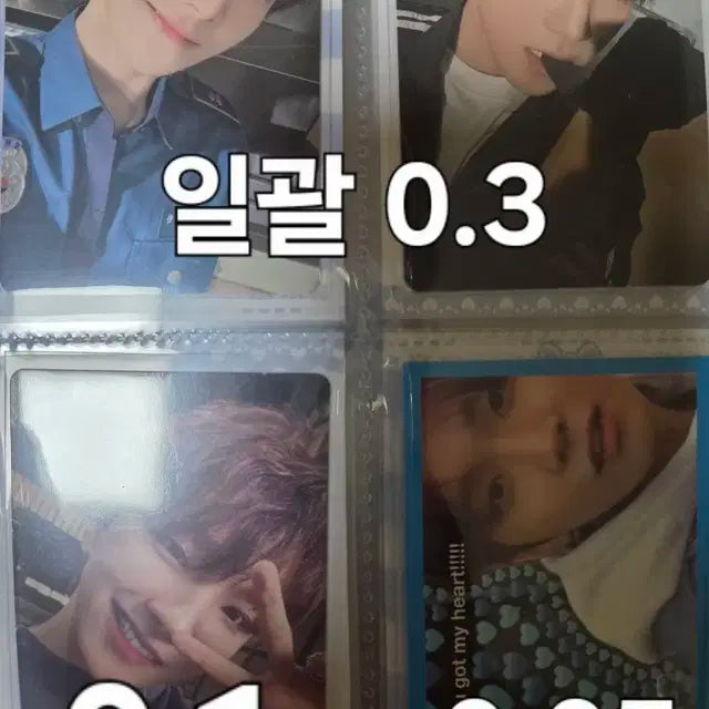 보넥도 포카 판매합니다