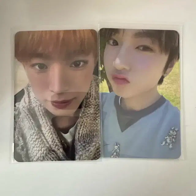 엔시티 사쿠야 유우시 포카 팔아요