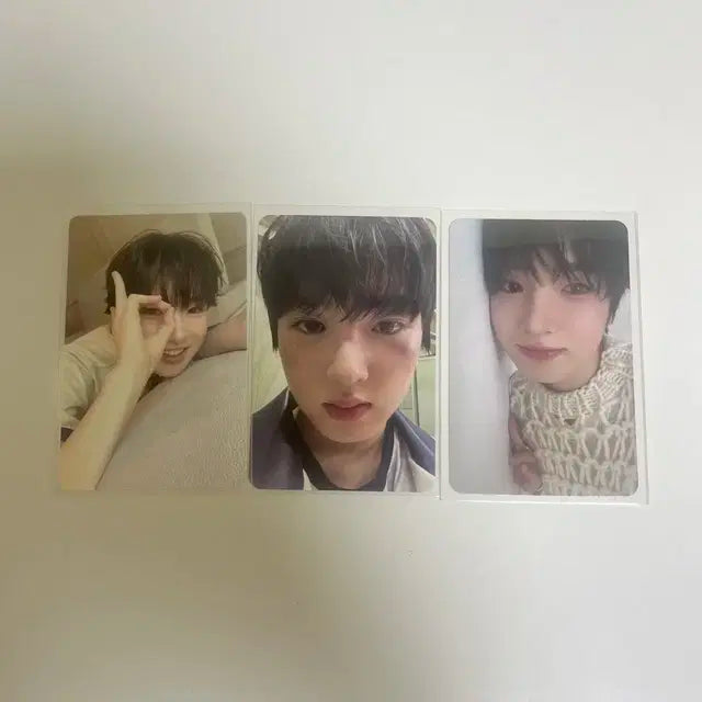 엔시티위시 사쿠야 포카 일괄 양도