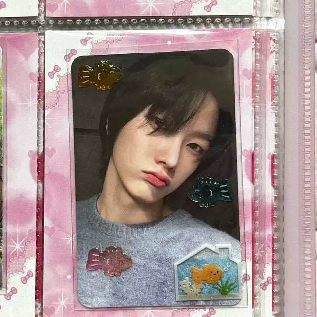 보이넥스트도어 성호 올리브영 특전 포카 보넥도